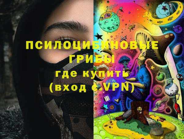 Альфа ПВП Гусиноозёрск