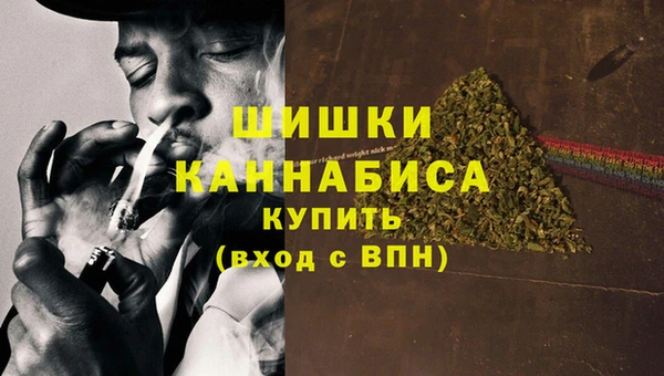 Альфа ПВП Гусиноозёрск