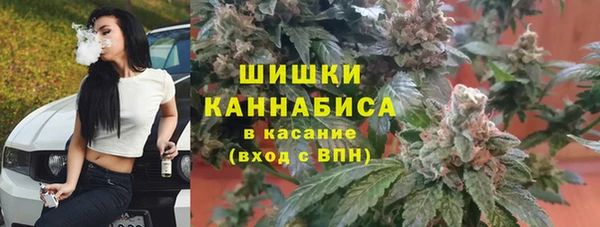 Альфа ПВП Гусиноозёрск