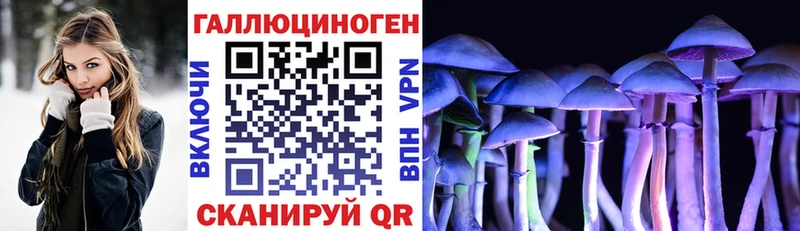 ОМГ ОМГ как войти  Облучье  Псилоцибиновые грибы мицелий 